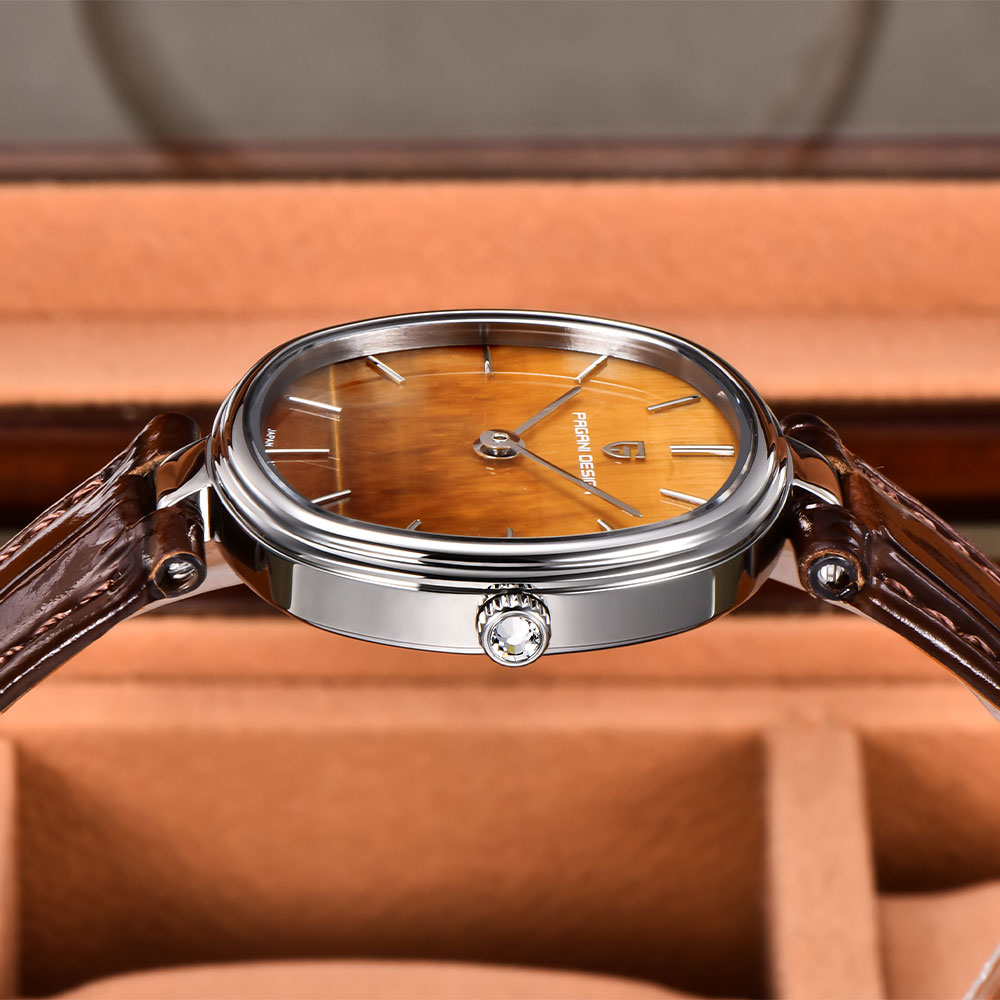 Часы PAGANI DESIGN 2026: Новые – обзор и цена Anti-Magnetic Watch