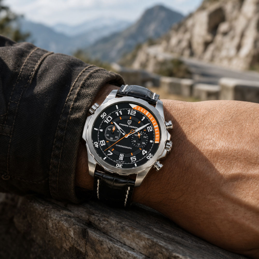 Мужские часы PAGANI DESIGN Cla – обзор и цена Anti-Magnetic Watch