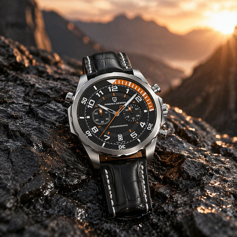 Мужские часы PAGANI DESIGN Cla – обзор и цена Anti-Magnetic Watch